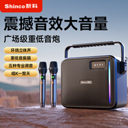 新科A6廣場舞音響戶外音箱k歌便攜式 藍(lán)牙收款大功率大音量重低音炮家用移動播放器 雙話筒
