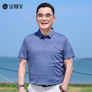 寶財羊中老年男士短袖T恤夏季新款簡約條紋上衣爸爸裝體恤打底衫男裝 藍(lán)灰色 M (165)