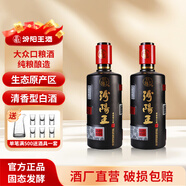汾陽(yáng)王時(shí)間陳釀 酒廠直營(yíng) 清香型白酒 山西名酒 杏花村核心產(chǎn)區(qū) 42度 500mL 2瓶