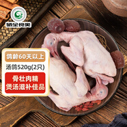 硒全食美富硒湯鴿 520g (260g*2只) 冷凍煲湯滋補(bǔ) 供港鴿子肉 生鮮鴿子湯