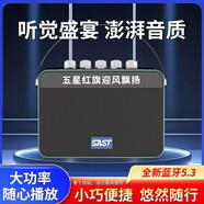 先科（SAST）【不卡頓不斷連】音響廣場便攜藍(lán)牙大功率戶外歌詞便攜式手提低音炮音箱 油漆綠【先科T91】便攜音箱 標(biāo)配版（無話筒）