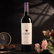 卡仕盾卡維仕紅酒 阿根廷原瓶進口CAVIC半干型紅酒微甜紅葡萄酒750ml 單瓶裝