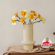 木丁丁玻璃花瓶高顏值法式ins奶油風(fēng)客廳插花鮮花居家擺件高級感花器
