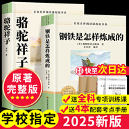 朝花夕拾+西游記七年級必讀正版 魯迅原著正版初一七年級上冊必讀課外書 適用于人民教育出版社的初一教材配套閱讀 魯迅原著正版完整版世界名著無刪減 新版教材指定】駱駝祥子+鋼鐵是怎樣煉成的+考點手冊