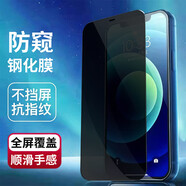 頻佳摩托羅拉E6 Plus鋼化膜E6i保護膜E6S-2020高清防爆防指紋手機膜抗藍光防窺手機貼膜 MotoE6Plus【防窺鋼化膜】