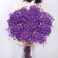 匠心綻放滿(mǎn)天星干花花束永生花真花教師節(jié)禮物實(shí)用送老師留念紫色20273