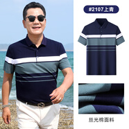 鹿竹新款爸爸夏裝短袖t恤絲光棉中老年男裝中年男士POLO衫夏季上衣服 2107-上青 XL 【155斤-175斤】