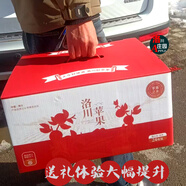 洛川蘋(píng)果【可手提的禮盒裝】陜西洛川蘋(píng)果紅富士脆甜多汁當季新鮮水果包郵 85mm大果純條紋24枚裝【可手提】