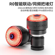 洛克兄弟（ROCKBROS）自行車尾燈USB充電騎行安全夜騎車燈警示燈公路山地車尾燈配件 智能同頻剎車把堵燈 RO (一對)