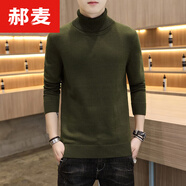 郝麥毛衣男高領(lǐng)加絨加厚修身純色百搭秋冬針織衫男休閑男士毛衣基礎(chǔ)款 軍綠（常規(guī)款） 2XL