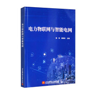 電力物聯(lián)網(wǎng)與智能電網(wǎng)