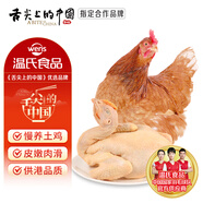 溫氏 供港田園土雞2斤 冷凍慢養(yǎng)雞農(nóng)家小雞燉蘑菇辣子雞丁