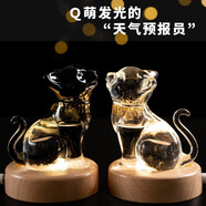 赟婭六一生日節(jié)日禮物男生女生風(fēng)暴瓶雨水天氣瓶水立方送女友男友擺件 白色埃及貓+燈+禮盒