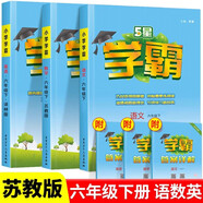 2025春新版 5星學(xué)霸六年級(jí)下冊(cè)語文人教版數(shù)學(xué)英語蘇教版 經(jīng)綸五星學(xué)霸6下作業(yè)本天天練專項(xiàng)訓(xùn)練
