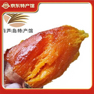 遼唯贊遼西文君甘薯 烤地瓜煙薯紅薯糖心 干稀瓤黃白瓤 葫蘆島特產(chǎn)直發(fā) 精品煙薯 5斤裝 黃色稀瓤