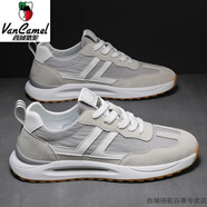 西域駱駝（VANCAMEL）男鞋夏季透氣2023新款春秋鞋子男士運動休閑阿甘板鞋小白帆布潮鞋 8071 淺灰-駱駝官方品牌官網旗艦 39