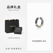SINCE YOU鄧為同款耳環(huán)羅馬世界純銀耳釘男士磁吸無(wú)耳洞高級耳飾女新年禮物 羅馬世界耳環(huán)（單只）太空灰