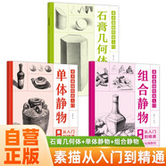 【全3冊】美術(shù)基礎(chǔ)繪畫入門 石膏幾何體+單體靜物+組合靜物 素描從入門到精通素描教程教材