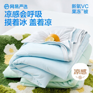網(wǎng)易嚴(yán)選雙面涼感果凍被夏被空調(diào)被A類母嬰級涼而不冰 雪霜鈺藍 200*230cm