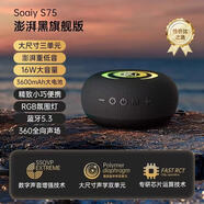 索愛(ài)索愛(ài)S-75藍牙音箱無(wú)線(xiàn)小音響小型戶(hù)外露營(yíng)低音炮超重電腦高音質(zhì) 黑色