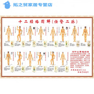 中醫(yī)養(yǎng)生穴位掛圖海報(bào)人體十二經(jīng)絡(luò)穴位圖解任督二脈掛圖中醫(yī) 人體十二經(jīng)絡(luò)圖 145*210厘米=100寸 油畫布(不褪色、可