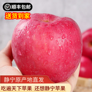 靜寧蘋果 【順豐到家】甘肅紅富士蘋果 現(xiàn)摘當(dāng)季新鮮水果蘋果源頭直發(fā)包郵 優(yōu)選凈重8斤寶寶果單果160-200g