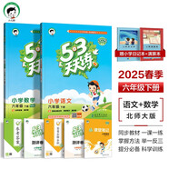 53天天練六年級(jí)下冊(cè) 套裝共4冊(cè) 語文+數(shù)學(xué)北師大版 2025春季 贈(zèng)小學(xué)日記本+演練場(chǎng) 開學(xué)季