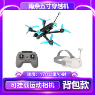 APEX雨燕5寸FPV穿越機已組裝全套到手飛沉浸式無人機比賽競速訓(xùn)練器材 四電池-48分鐘續(xù)航-FPV套裝-背包 標配
