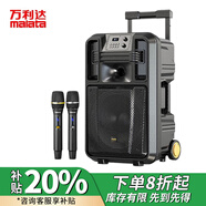 萬利達(dá)（Malata）廣場舞音響大功率震撼重低音便攜式戶外k歌拉桿音箱專業(yè)舞臺演繹設(shè)備卡拉ok聲卡直播內(nèi)錄一體機(jī) M+9053E升級版(18吋)充電話筒*2