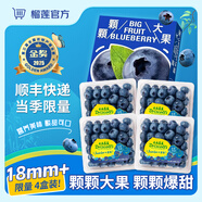 遼寧花香藍(lán)莓王 6盒禮盒裝 【JD順豐速運(yùn)-多地隔日達(dá)】高山水果 藍(lán)莓王【特大果】單果15-18mm+ 當(dāng)季限量：6盒裝 100-125g/盒