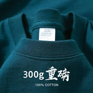 凡客【雷軍推薦款】2025夏新款新疆棉300g重磅厚實(shí)不透純棉短袖t 孔雀藍(lán)-短袖-【300g純棉重磅】 L 【建議140-170斤】