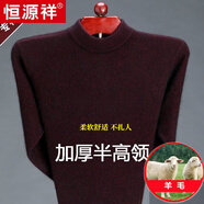 恒源祥純色羊毛絨衫男加厚半高圓領(lǐng)毛衣羊毛衫冬季款針織衫打底保暖上衣 半高 領(lǐng)酒紅-純全新100甄選精品羊毛 L 170【適合120-140斤】【柔軟舒適保暖】