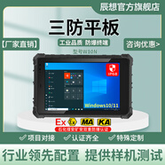 辰想三防W10N 10英寸三防平板電腦全加固工業(yè)防爆平板pad煤安礦安井下巡檢帶TPM安全芯片網(wǎng)口串口Win10系統(tǒng) 8G+128GB N5100 （普分+高亮）電商款 三防版本/Win10系統(tǒng)