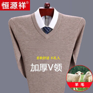 恒源祥純色羊毛絨衫男加厚半高圓領(lǐng)毛衣羊毛衫冬季款針織衫打底保暖上衣 V 領(lǐng)駝色-純全新100甄選精品羊毛 L 170【適合120-140斤】【柔軟舒適保暖】