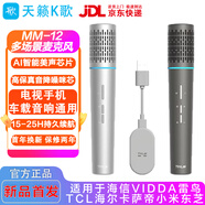 天籟K歌海信電視k歌話筒天籟k歌MM-9D 無線麥克風tcl雷鳥vidda東芝海爾豐田雷凌凱美瑞車載麥克吉利星越L MM-12手機電視通用9檔混響高品質(zhì)音效銀灰
