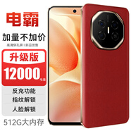 譽(yù)品電霸手機(jī)12000亳安大電池智能手機(jī)5G全網(wǎng)通512g內(nèi)存老人智能手機(jī) 中國紅 16GB+512GB
