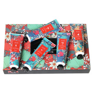 斐伊植物護手霜禮盒套裝滋潤保濕補水便攜女士男士手膜春秋冬不油膩 斐伊花香護手霜