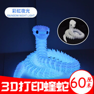 3d打印蛇玩具夜光超大號60厘米仿真關(guān)節小蝰蛇年模型玩偶擺件禮物 夜光蛇【3d打印蛇】【長(cháng)約60cm】
