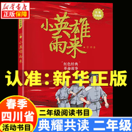 2025春季 四川典耀共讀二年級課外閱讀書目 小英雄雨來注音彩繪版 不一樣的麥小朵麥爸爸的故事電臺全彩注音版安徽少年兒童出版社 變來變?nèi)サ柠溞《溆H愛的小狼大傻大傻的新校服春天和我們躲貓貓寄居蟹的家 1