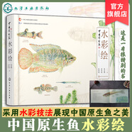 中國原生魚水彩繪 張國剛 彭作剛 常見原生魚類精美原創(chuàng)水彩畫物種飼養(yǎng)體驗(yàn)等中國原生魚美艷鑒別魚種中國小型淡水魚飼養(yǎng)殖常識書