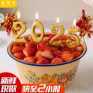 古可可蛇年跨年2025網(wǎng)紅創(chuàng)意蘋(píng)果生日蛋糕當(dāng)天配送全國(guó)同城送男女孩禮物 J款跨年草莓搪瓷盆蛋糕(需預(yù)定) 12英寸(適合7-10人)