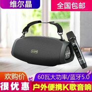 維爾晶(W-King)D10+便攜式無(wú)線(xiàn)藍牙音箱低音炮大功率K歌音箱 單話(huà)筒 套餐一