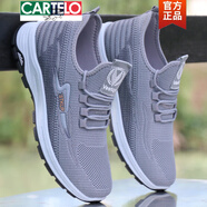 卡帝樂鱷魚（CARTELO）男士網(wǎng)眼鞋夏季涼鞋鏤空透氣防臭網(wǎng)面運(yùn)動(dòng)鞋一腳蹬軟底休閑洞洞鞋 P9263淺灰 41 (標(biāo)準(zhǔn)尺碼)