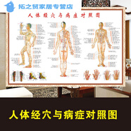 中醫(yī)養(yǎng)生穴位掛圖海報(bào)人體十二經(jīng)絡(luò)穴位圖解任督二脈掛圖中醫(yī) 人體經(jīng)穴與病癥對(duì)照?qǐng)D 110*160厘米=80寸(特大尺寸) pp膠(