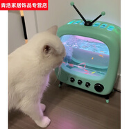貓咪魚(yú)缸電視機 小貓咪復古電視機魚(yú)缸小型微景觀(guān)桌面擺件裝飾品 貝爾維亞綠【燈光款】