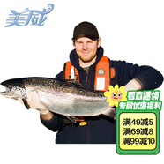 美威冷凍智利 三文魚禮盒凈重8斤 整條輪切禮盒 大西洋鮭魚 海鮮