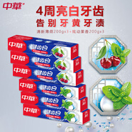 健齒白小蘇打牙膏(果香3支+薄荷3支)