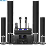 先科（SAST）家庭影院套裝1 5.1家庭影院音響套裝家用電視客廳壁掛落地音箱 （黑色）