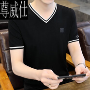 尊威仕（ZUNWEISHI）短袖男寬松男士V領(lǐng)T恤潮流純色男裝半袖2025新款春夏季針織 WE393黑色 XL 180