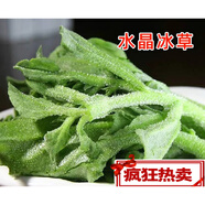 蘇北現(xiàn)摘冰草冰菜新鮮蔬菜即食沙拉菜水晶四季冰草冰冰菜 2500g 精選冰草沙拉菜